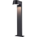 D'Lite Éclairage de jardin Lira Noir 7W 600lm 830  | IP54 
